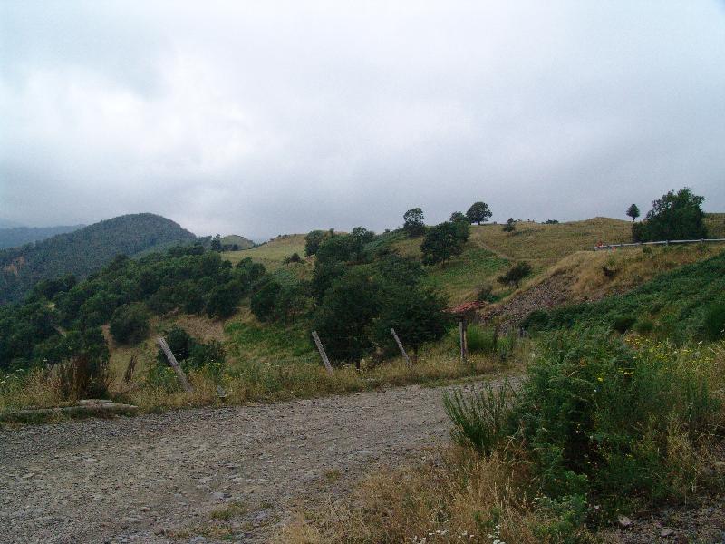 DSC08020 
