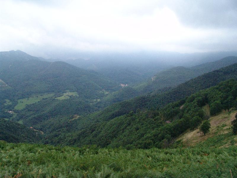 DSC08024 