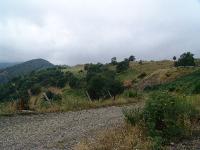 DSC08020 