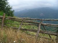 DSC08041 