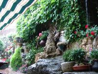 DSC08091