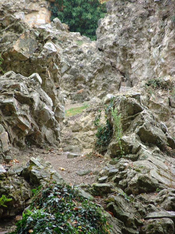 DSC01061 