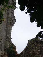 DSC01062 