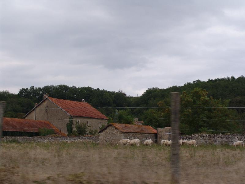 DSC02510 