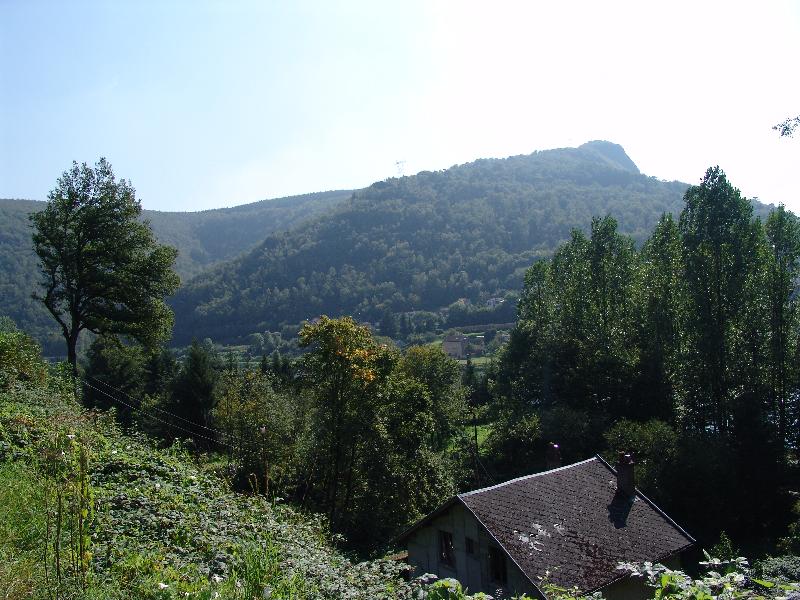 DSC02899 