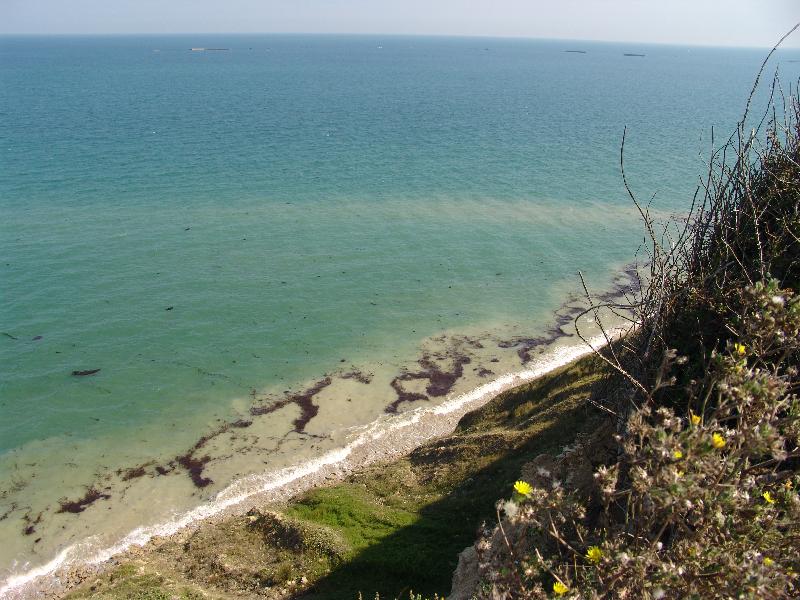 DSC00898 