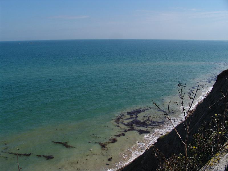 DSC00900 