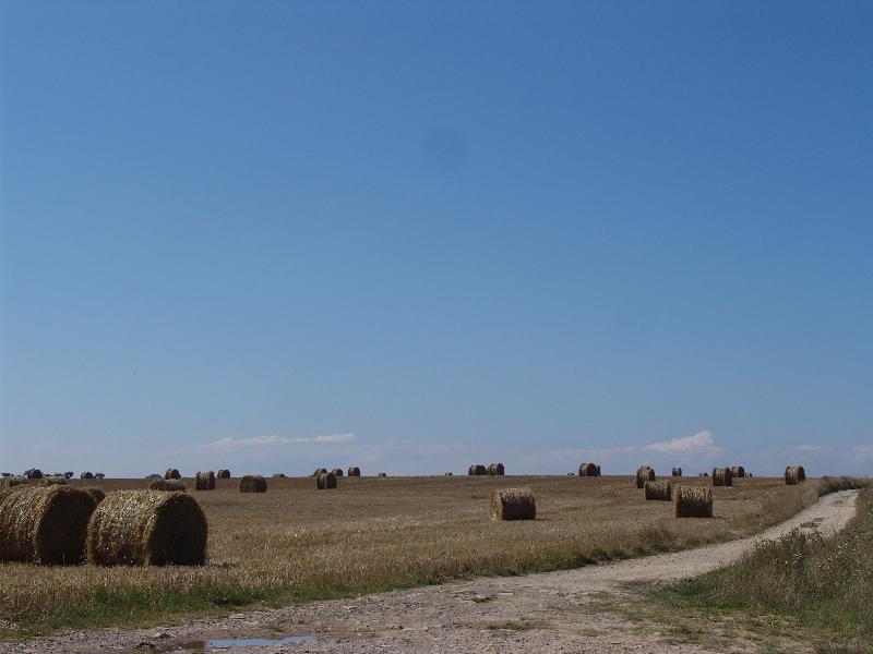 DSC00963 