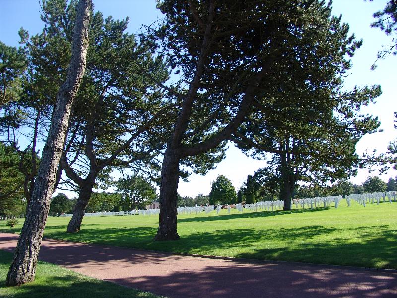 DSC00979 