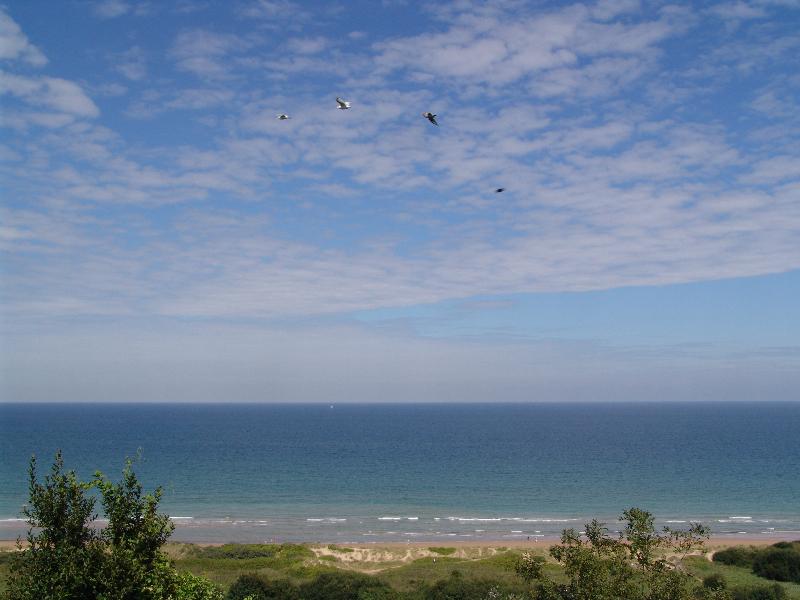 DSC00983 