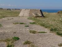 DSC00962 