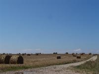 DSC00963 