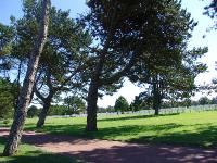 DSC00979 