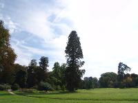 DSC02831 
