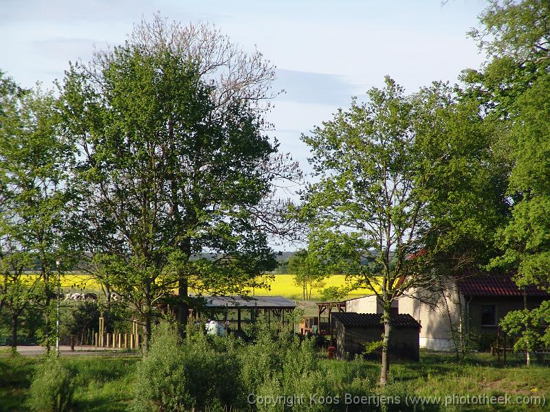 DSC00563 