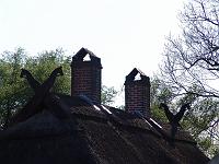 DSC00523 