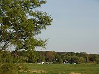 DSC00564 
