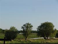 DSC00571 