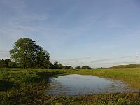 DSC00595 