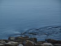 DSC00674 