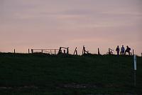 DSC06829 