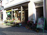 DSC06032 