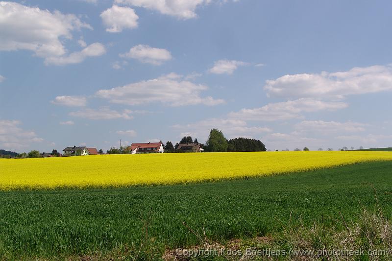 DSC06210 