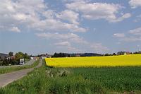 DSC06209 