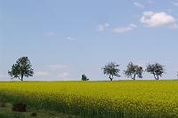 DSC06365 