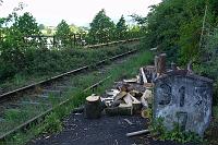 DSC06461 