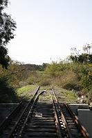 IMG_1309 