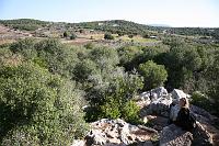 IMG_1563 