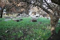IMG_1815 