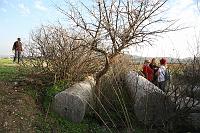 IMG_1906
