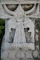 IMG_1911