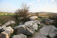 IMG_1920