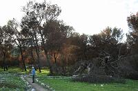 IMG_1979