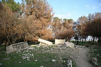 IMG_1988