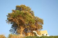 IMG_1029 