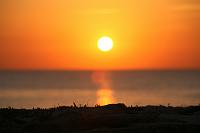 IMG_1135 