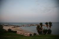 IMG_0567 