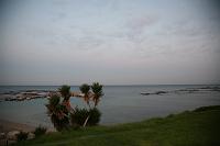IMG_0568 