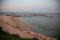 IMG_0592 