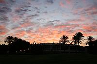 IMG_0593 