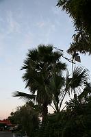 IMG_0603 