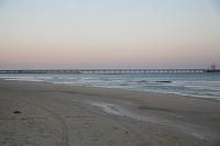 IMG_0645