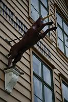 IMG_7088