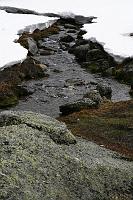 _MG_8716
