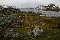 _MG_8728