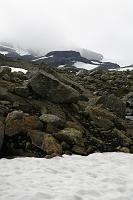 _MG_9323